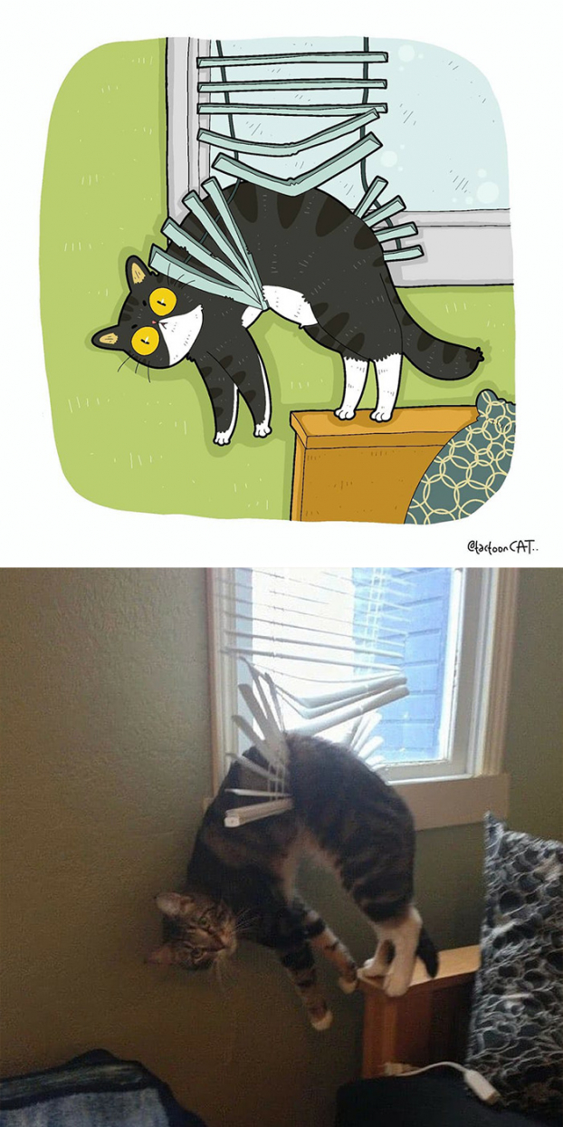 30 bức tranh minh họa lại những chú mèo hài hước và nổi tiếng nhất trên mạng xã hội 13