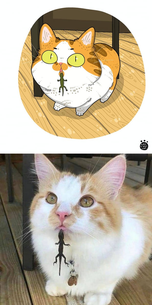 30 bức tranh minh họa lại những chú mèo hài hước và nổi tiếng nhất trên mạng xã hội 18