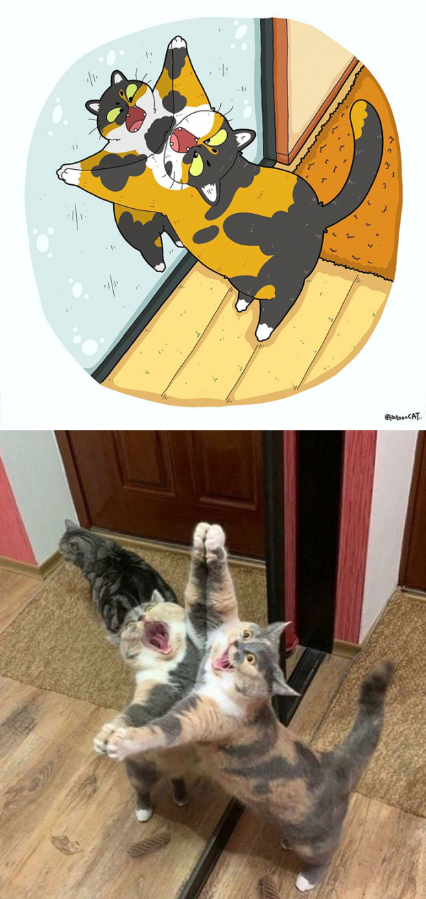 30 bức tranh minh họa lại những chú mèo hài hước và nổi tiếng nhất trên mạng xã hội 1