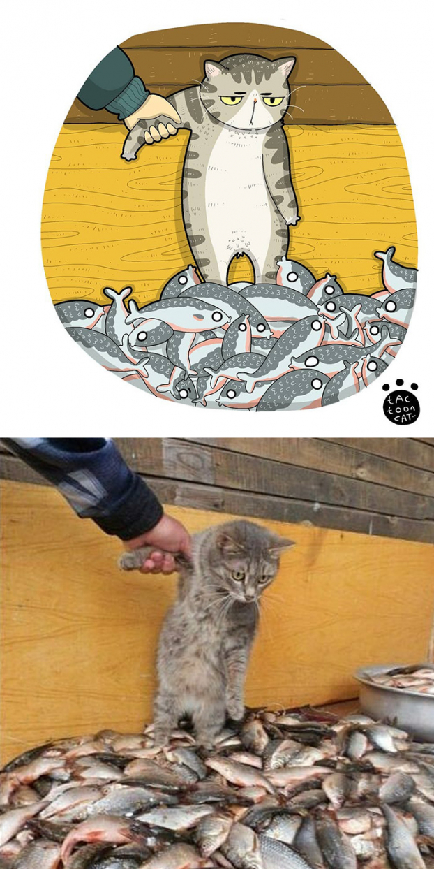30 bức tranh minh họa lại những chú mèo hài hước và nổi tiếng nhất trên mạng xã hội 3
