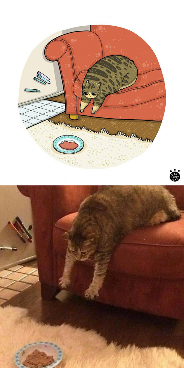 30 bức tranh minh họa lại những chú mèo hài hước và nổi tiếng nhất trên mạng xã hội 7