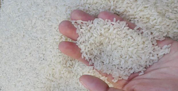   Không nên mua các loại gạo được xay xát quá kỹ thường có màu quá trắng do đã mất gần hết lớp ngoài của gạo chứa nhiều vitamin. Ảnh minh họa  