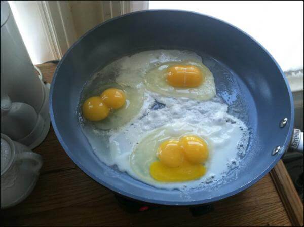   Thật trùng hợp khi cả ba quả trứng đều có hai lòng đỏ  
