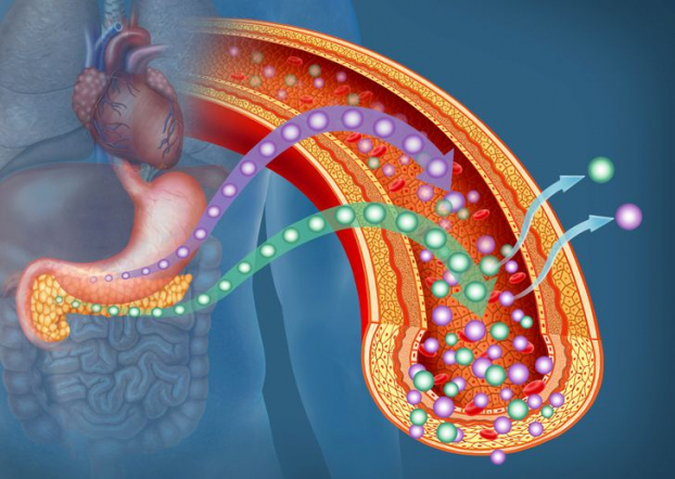 Điều gì sẽ xảy ra nếu bạn ngừng ăn muối hoàn toàn? 2