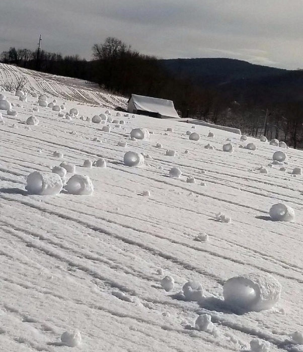   Tuyết cuộn thành hình ống, một hiện tượng tự nhiên cực hiếm thấy.  