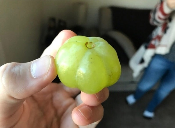   Một quả nho với hình dạng giống quả bí ngô  