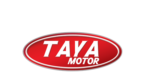 4 mẫu xe máy 50cc Taya bán chạy nhất năm 2020 4