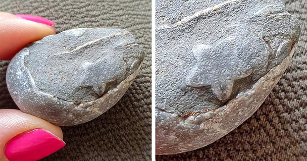   Một hình ngôi sao được mẹ thiên nhiên tạo nên trên một viên đá  