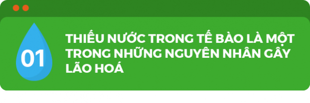 'Nước sống' hydrogen ion kiềm chăm sóc da hiệu quả, được bác sĩ khuyên dùng 0