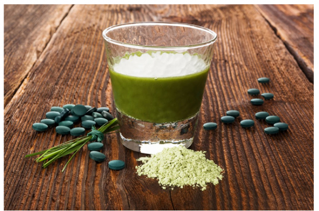 Tại sao tảo lục Chlorella được coi là 'thần dược' giúp bảo vệ sức khỏe toàn diện?  2