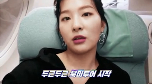 Seulgi (Red Velvet) tiết lộ sự thật đằng sau việc các thần tượng Kpop đeo khẩu trang 1