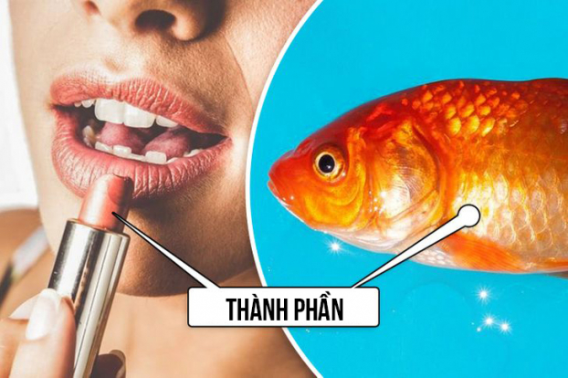 13 sự thật thú vị về thế giới bạn có thể mới được nghe lần đầu 0