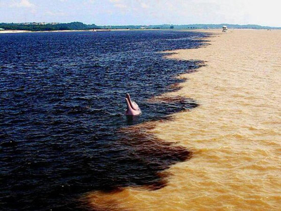   Ranh giới giữa sông Amazon và sông Đen (Rio Negro) ở Brazil, hai dòng giao nhau nhưng nước không hòa lẫn.  