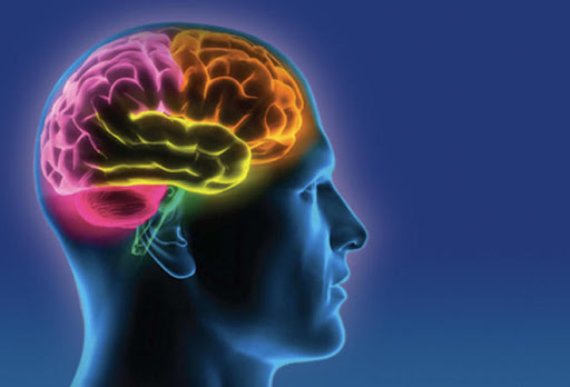 4 thực phẩm bổ não, ngừa thoái hóa giúp tăng cường trí nhớ 5