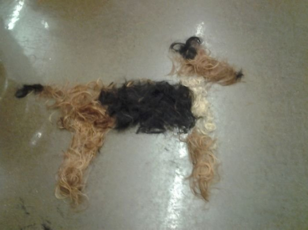   Tóc thừa tại một salon cũng không yên!  