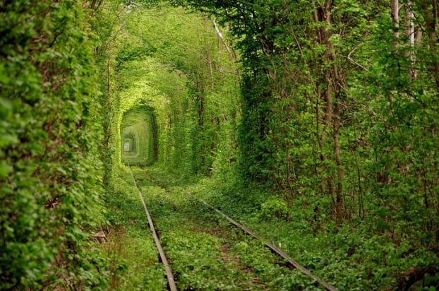   Một đường hầm xanh  