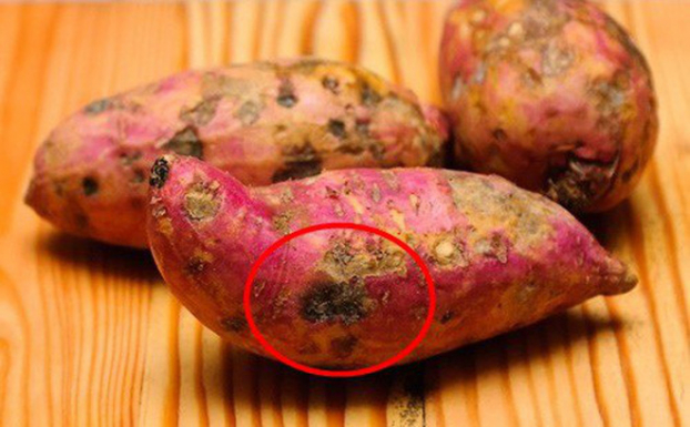 5 loại rau củ ngậm đầy độc tố, người Việt vẫn ăn hàng ngày mà không biết 5