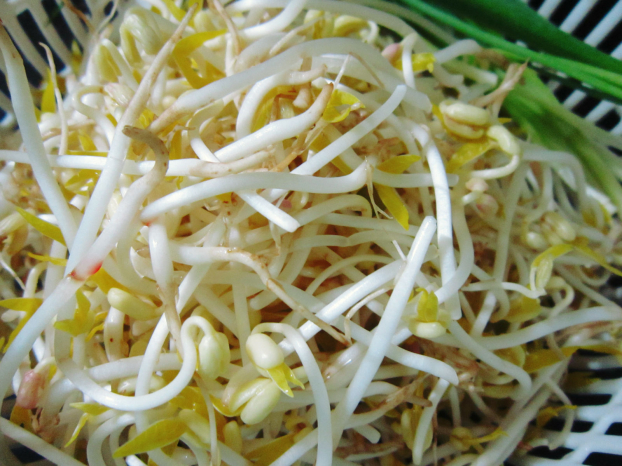 5 loại rau củ ngậm đầy độc tố, người Việt vẫn ăn hàng ngày mà không biết 2