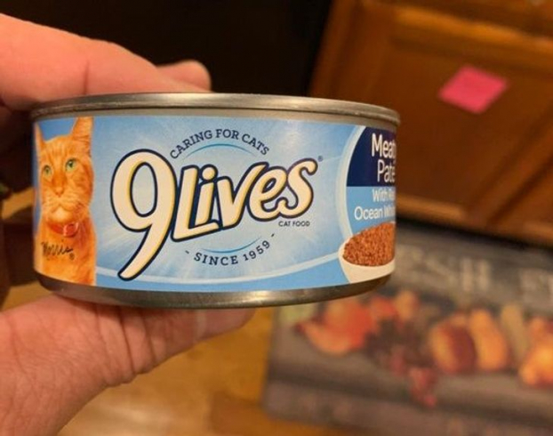   Chữ trên hộp: '9lives - thức ăn cho mèo'.  