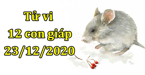 Tử vi 12 con giáp hôm nay 23/12: Tuổi Tý có sai sót, tuổi Sửu thuận lợi 0