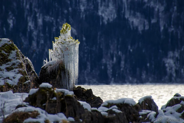 19 bức ảnh đẹp như cổ tích chỉ có thể xuất hiện trong mùa đông lạnh giá 8