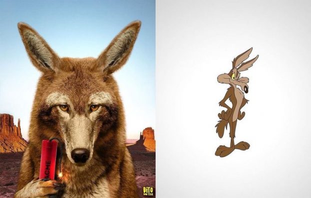   Sói Wile E. Coyote trong Looney Tunes  