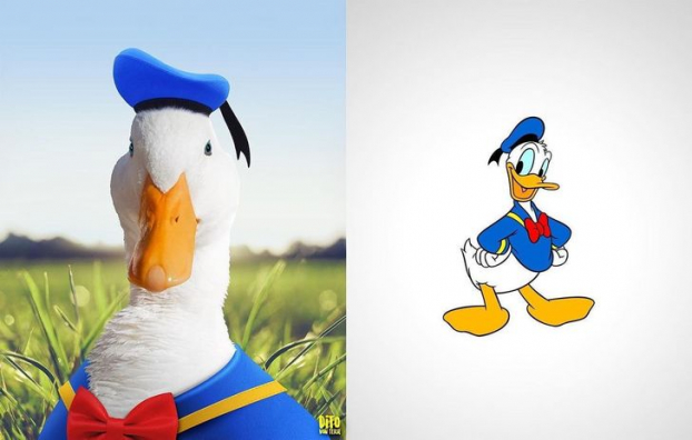   Vịt Donald  