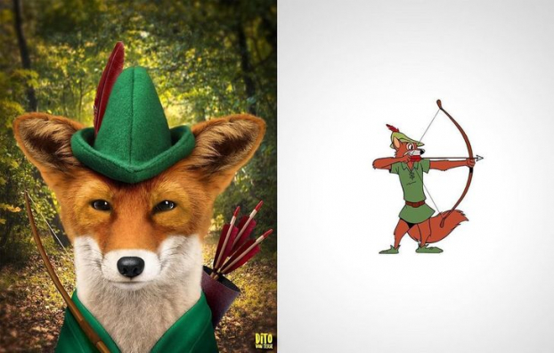   Chú cáo Robin Hood  