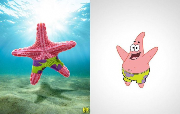   Sao biển Patrick trong SpongeBob SquarePants (Cậu Bé Bọt Biển)  