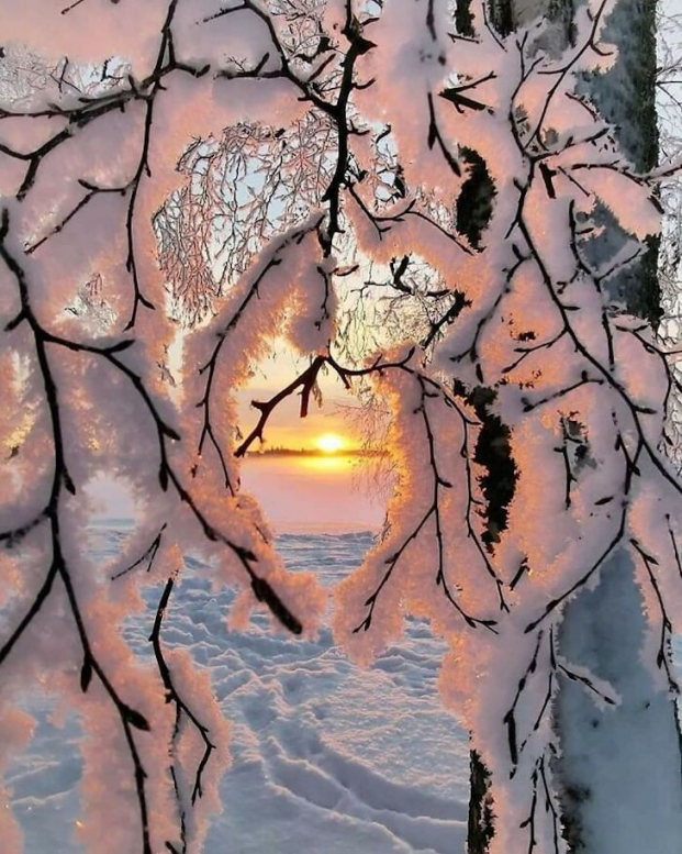 21 bức ảnh chứng minh tuyết là món quà cực phẩm mà mẹ thiên nhiên ban tặng cho chúng ta 5