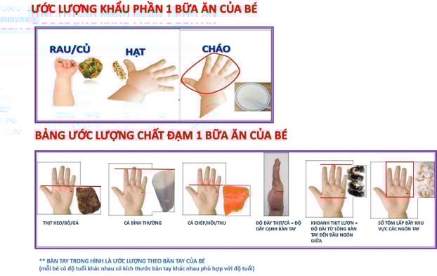 Bí quyết giúp mẹ dễ dàng định lượng khẩu phần ăn cho bé mỗi ngày 1