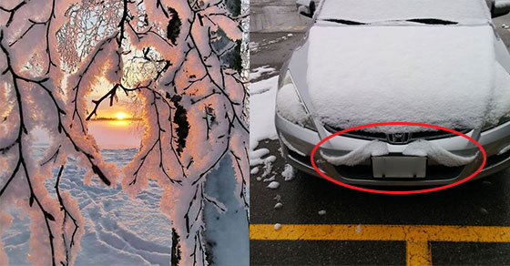 21 bức ảnh chứng minh tuyết là món quà cực phẩm mà mẹ thiên nhiên ban tặng cho chúng ta 0