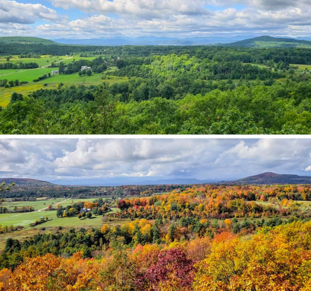 20 bức ảnh so sánh thú vị cho thấy sự khác biệt một trời một vực khiến bạn mở mang tầm mắt 5