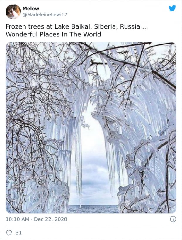   Cây cối đóng băng ở hồ Baikal  