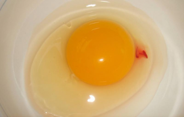 3 loại trứng phải bỏ ngay vì rất độc, người Việt tiếc của cố ăn mà không biết 2