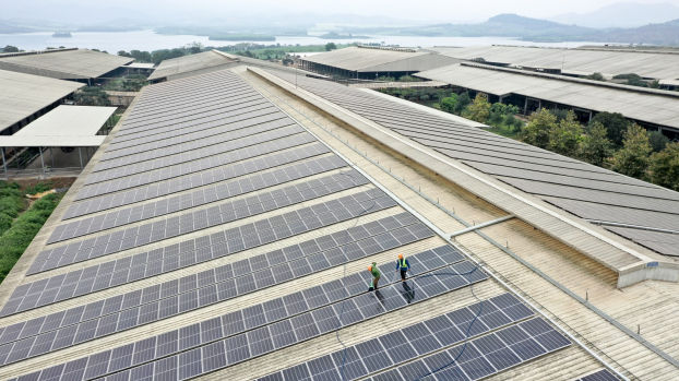   Pin năng lượng mặt trời trên mái các trang trại bò sữa của Tập đoàn TH tại Nghệ An.  