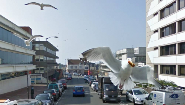 17 bức ảnh ghi lại khoảnh khắc độc lạ mà Google Street View vô tình chụp được 13