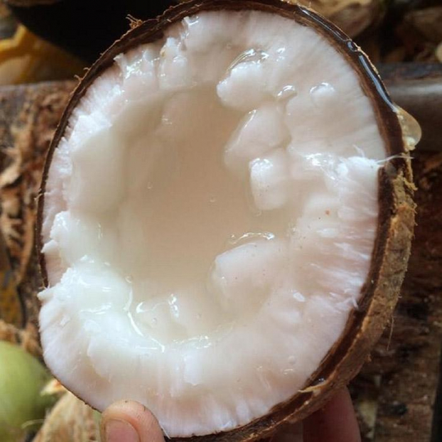 4 thực phẩm 'siêu béo' nhưng lại đốt mỡ cực mạnh, ăn thường xuyên vừa đẹp da lại giảm cân 1