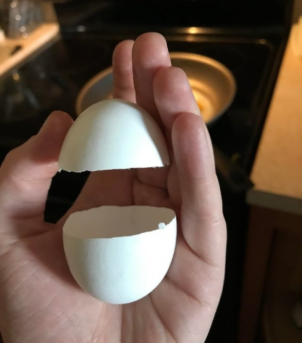   Một quả trứng được tách đôi một cách hoàn hảo  
