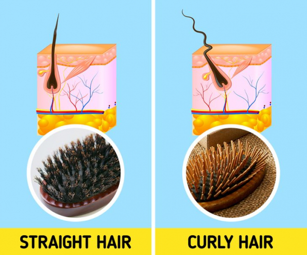 7 sai lầm khi chải tóc khiến tóc hư tổn, gãy rụng nhiều người mắc phải 2