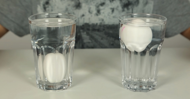 Thả trứng sống vào cốc nước, biết ngay trứng còn tươi hay đã hỏng 0