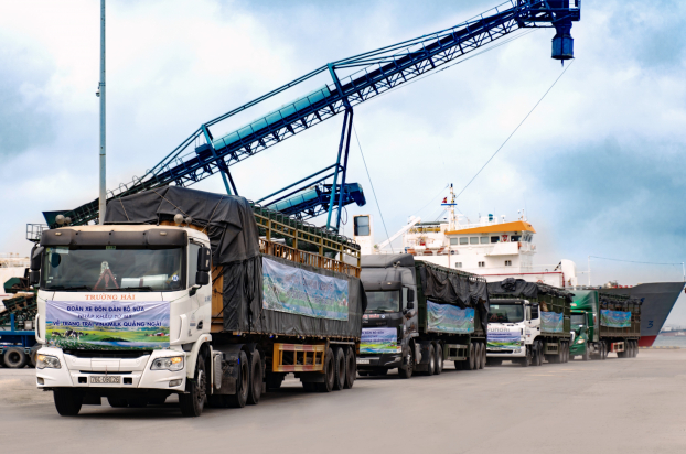   Đoàn xe hơn 80 chiếc tập kết tại cảng Dung Quất, sẵn sàng để đưa hơn 2.100 bò sữa nhập khẩu từ Mỹ về trang trại mới của Vinamilk tại Quảng Ngãi  