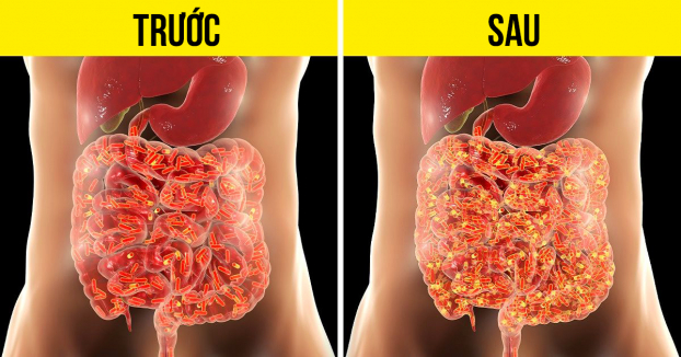 Điều gì sẽ xảy ra với đường ruột nếu bạn ăn quả bơ mỗi ngày? 0