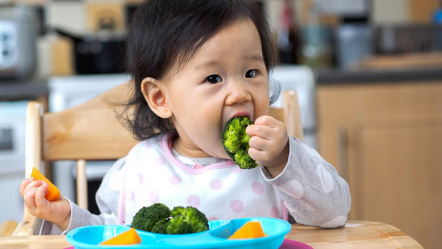   Trẻ cần được ăn đa dạng thực phẩm, ăn nhiều rau xanh và hoa quả để tăng cường vitamin và khoáng chất. Ảnh minh họa  
