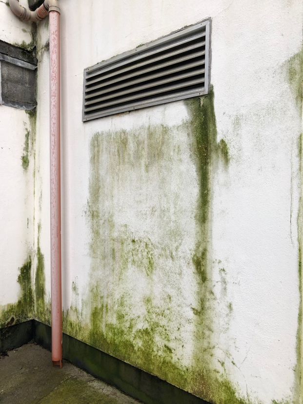   Thời tiết khắc nghiệt khiến cho tường nhà dễ xuống cấp, hư hại  