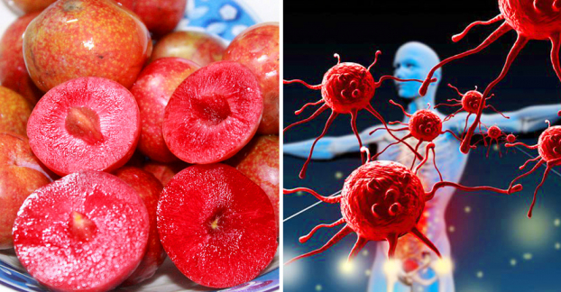 5 loại quả giàu vitamin C nên ăn hàng ngày để tăng cường hệ miễn dịch 0