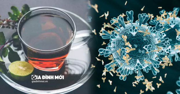 Công thức trà thảo mộc đơn giản giúp tăng cường khả năng miễn dịch 0