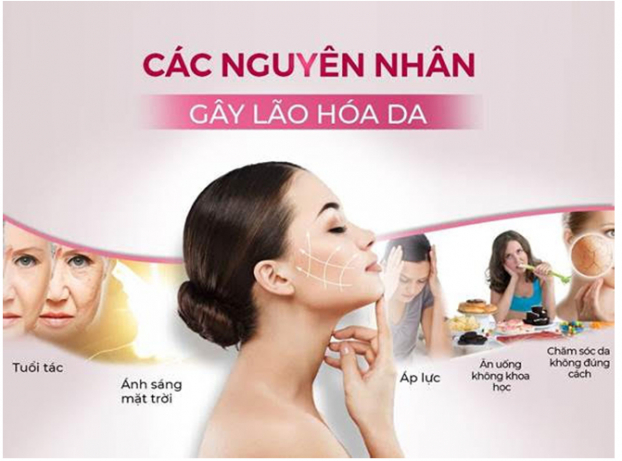   Sự suy giảm collagen làm gương mặt bạn hốc hác già đi trước tuổi  