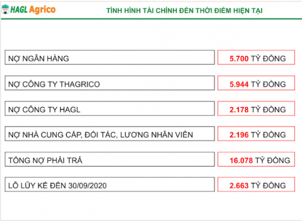 Ông Trần Bá Dương đã bỏ 27.000 tỷ đồng vào Công ty Nông nghiệp quốc tế Hoàng Anh Gia Lai 1