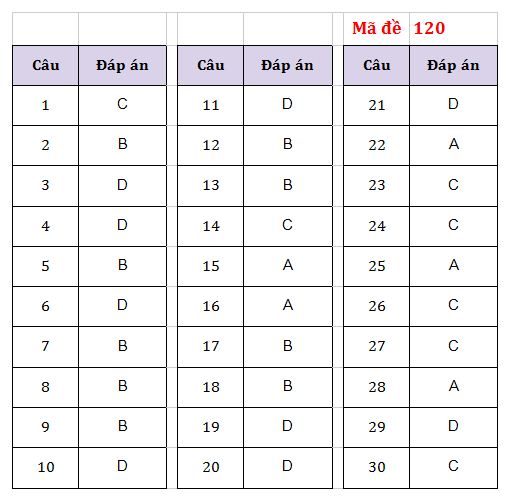 Gợi ý đáp án đề thi vào lớp 10 môn Tiếng Anh TP Hà Nội năm 2021 3